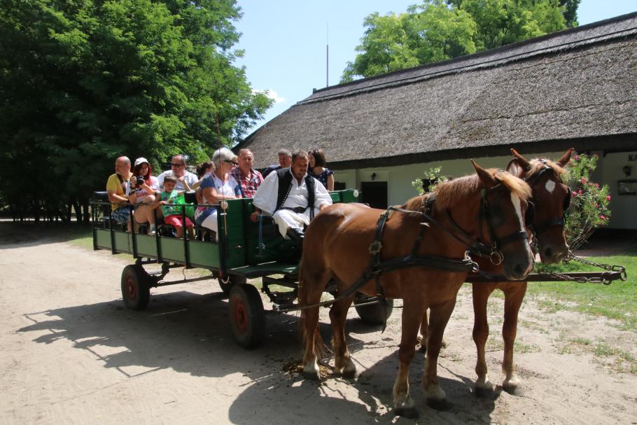 Hab meinen Wagen voll geladen &hellip;