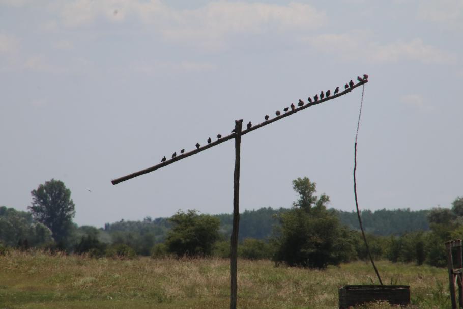 Die Zuschauer haben sich schon eingefunden.