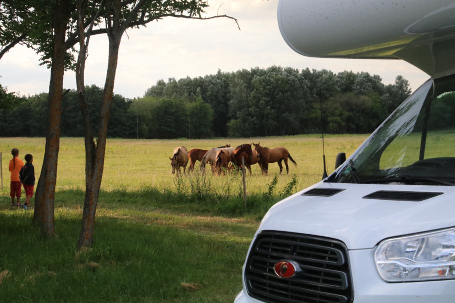 Natur pur - so haben wir uns das vorgestellt.