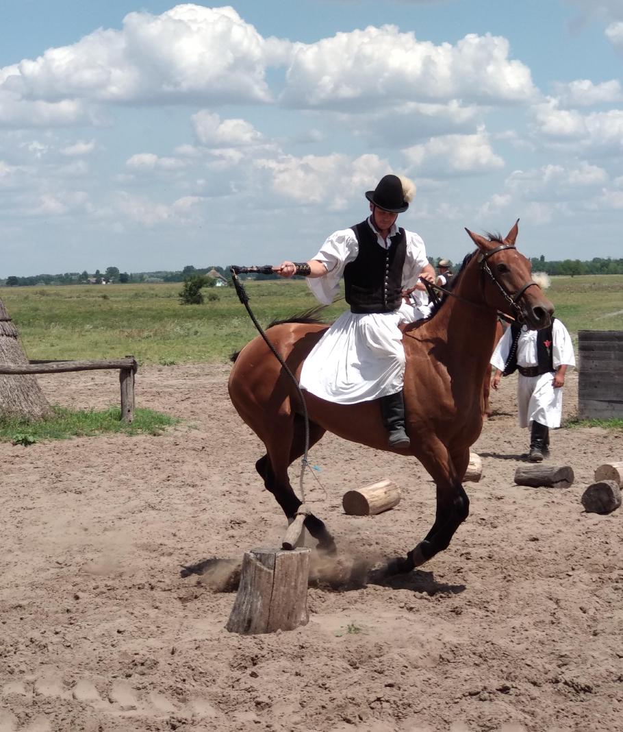 Nicht einmal ohne Pferd ist es einfach, mit der Peitsche etwas genau zu treffen.