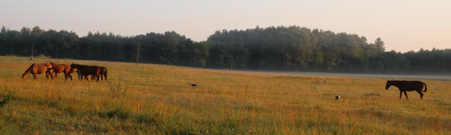 Morgentliche Begrüßung.