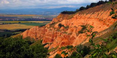 image from Rapa Rosie