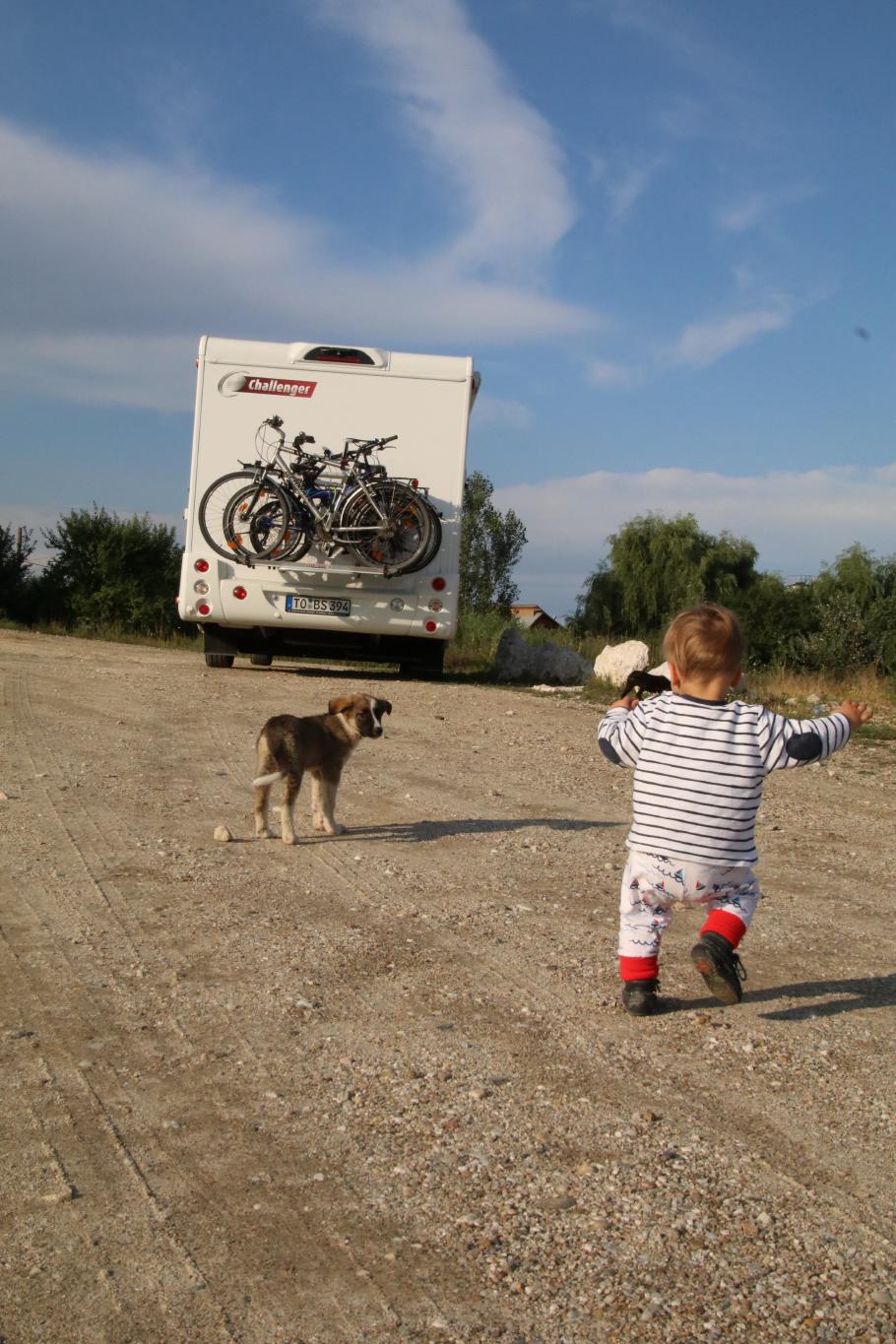 Mattis steht zwar frei, aber lief bisher nicht. Aber als er den Hund sieht, lernt er spontan zu laufen &hellip;