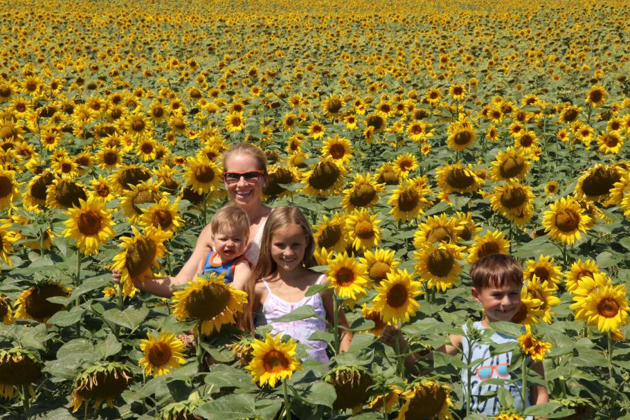 Sonnenblumen passen zu uns.