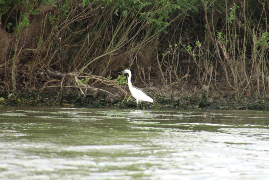 Wir wissen nicht, was das für einer ist, schaut aber hübsch aus.