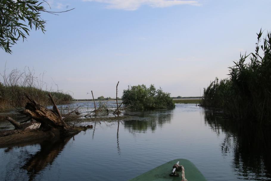 Dahinter öffnet sich eine Teichlandschaft.