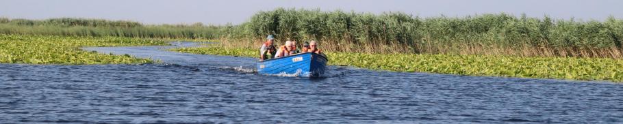 Die Truppe kennen wir vom Campingplatz.
