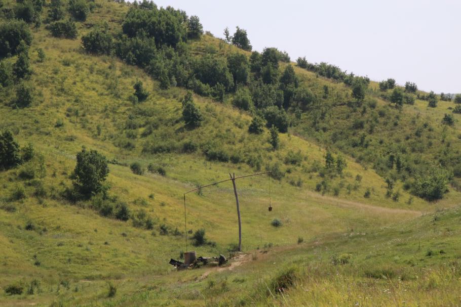 Statt Feldern und Städten: grüne Weiden und hier und da ein Ziehbrunnen.
