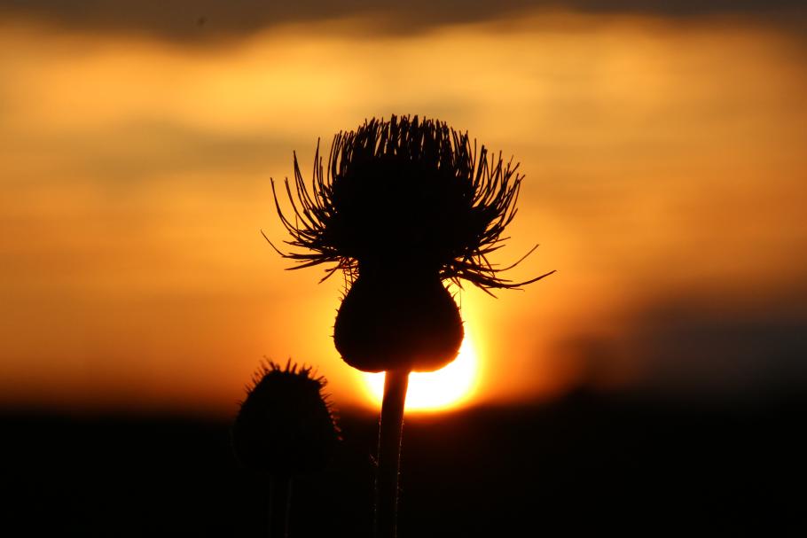 Ein letztes Foto, bevor die Sonne hinter den Hügeln verschwindet.