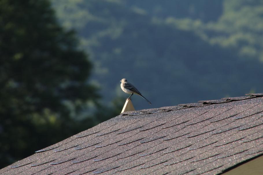 Nicht nur wir haben auf die Sonne gewartet.