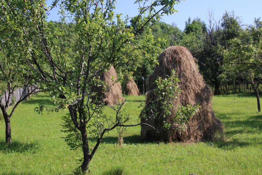 Heuschober stehen in vielen Grundstücken.
