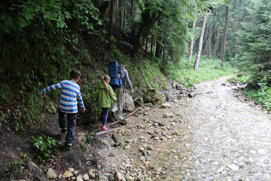 Der nächtliche Regen beschert uns einen &lsquo;fließenden&rsquo; Übergang zwischen Bach und Weg.