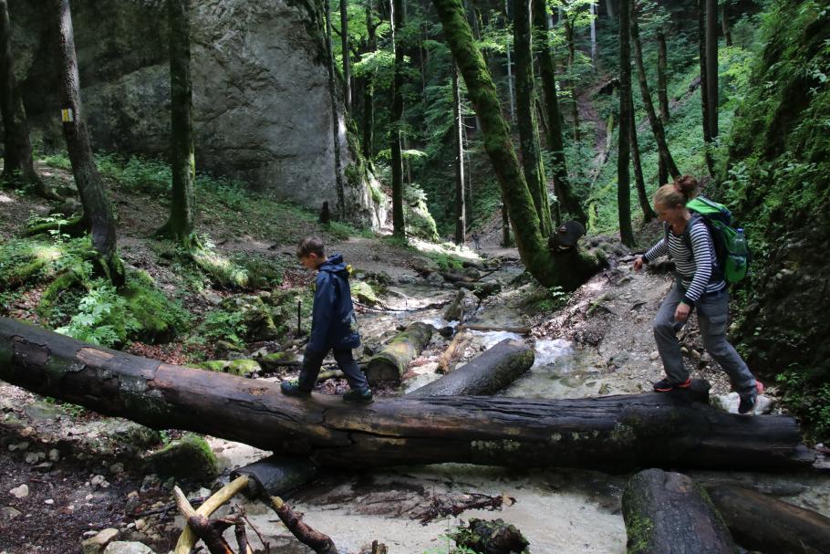 Ein wenig Kletterei bleibt noch.
