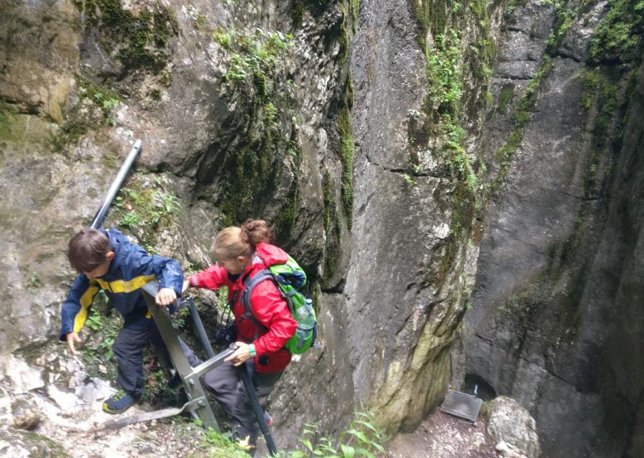 Alle kommen heil oben an.