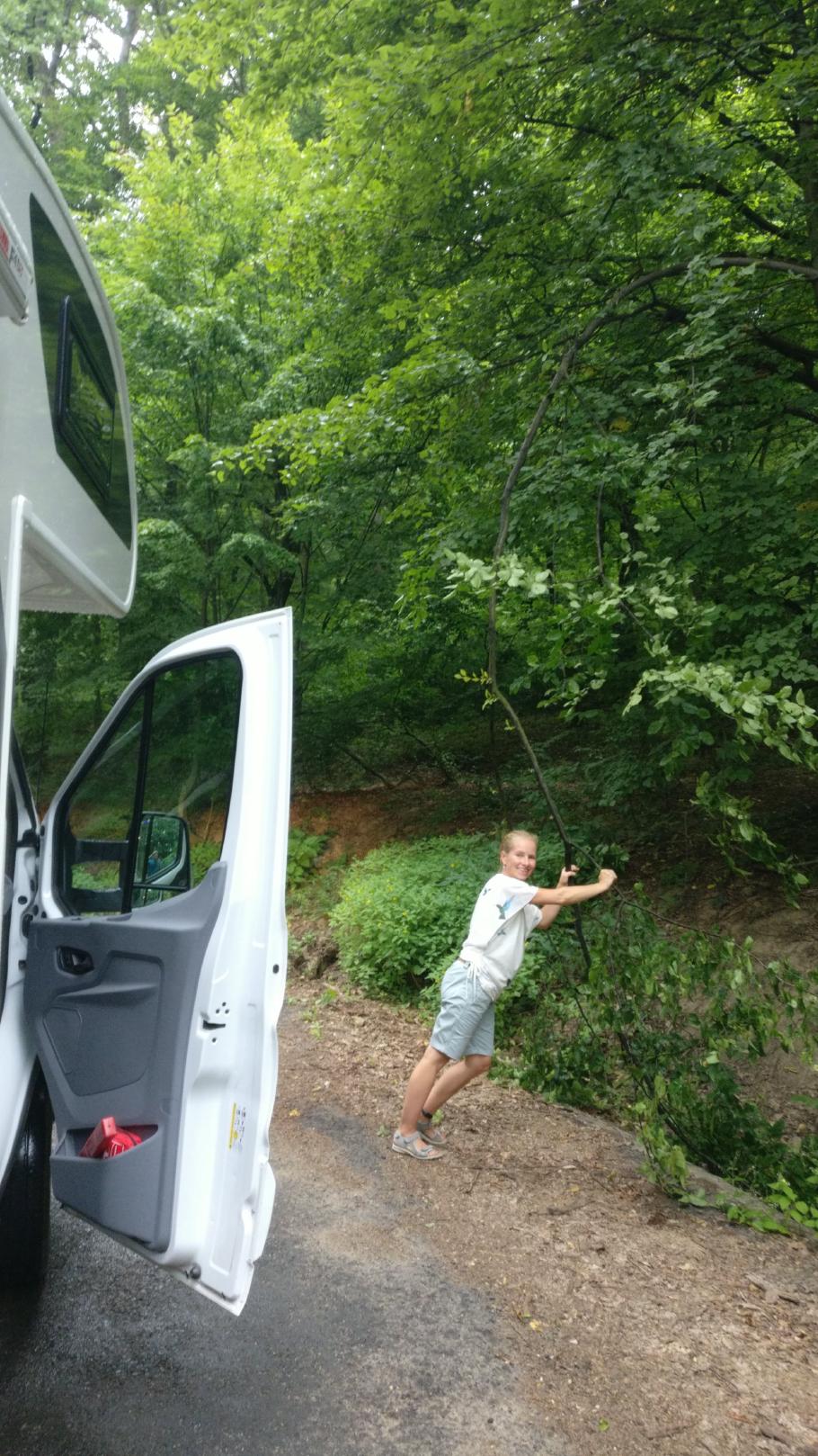 Anke macht den Weg frei.