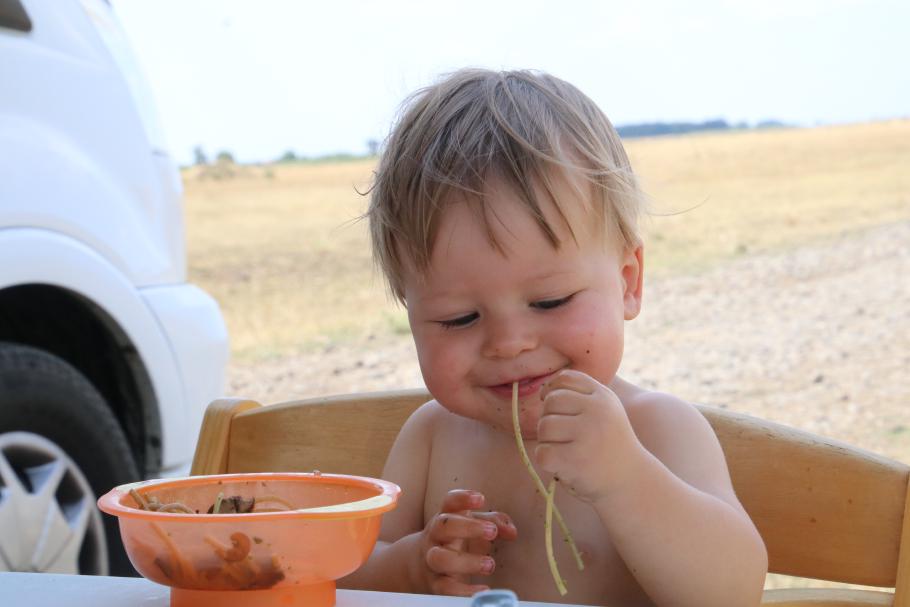 Fliegendes Spaghettimonster?