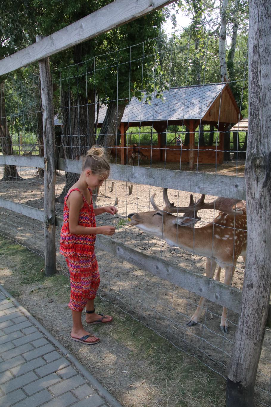 Mit dem Essen spielt man eigentlich nicht!