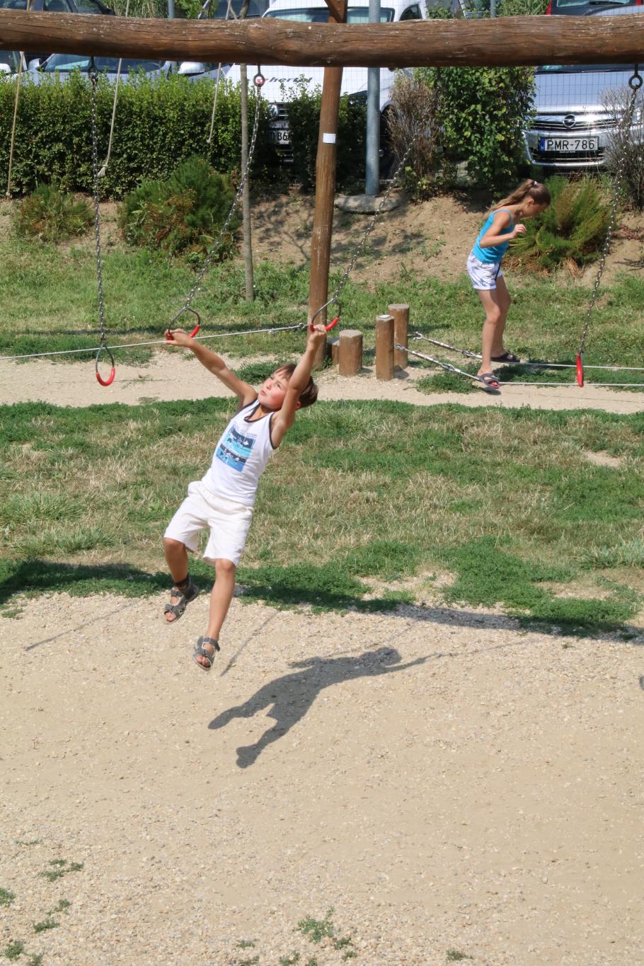 Wir könnten Eintritt verlangen.