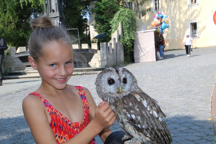 Annabell darf gegen eine kleine Spende eine Eule halten.