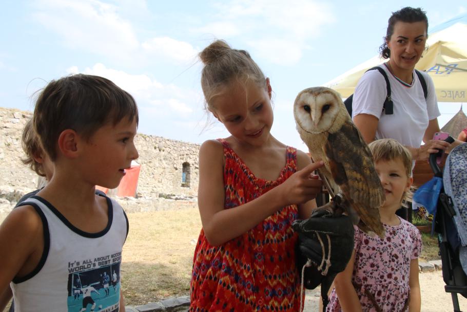 Auch hier gibt es Kuschel-Eulen.