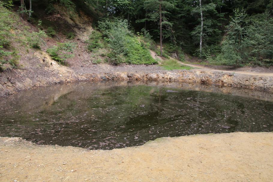 Der gelbe See ist eher braun.