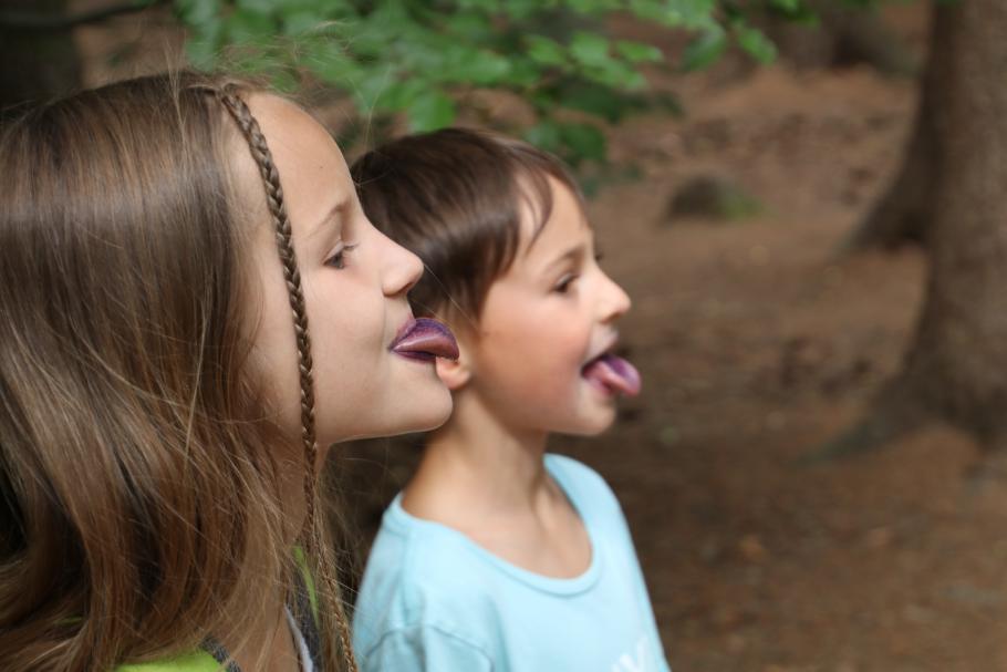 Leugnen ist zwecklos!