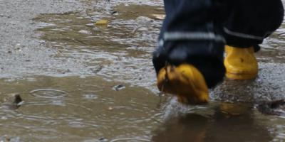 image from Regen, Schloss Fürstenstein, Regen