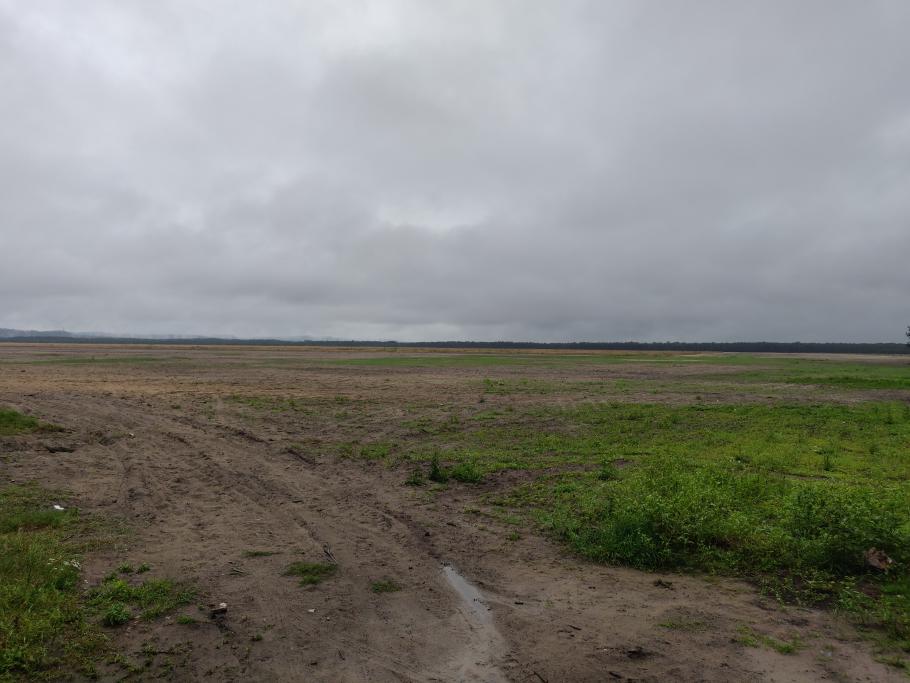 Nasse Wüste ist ein wenig wie nasser Pudel.