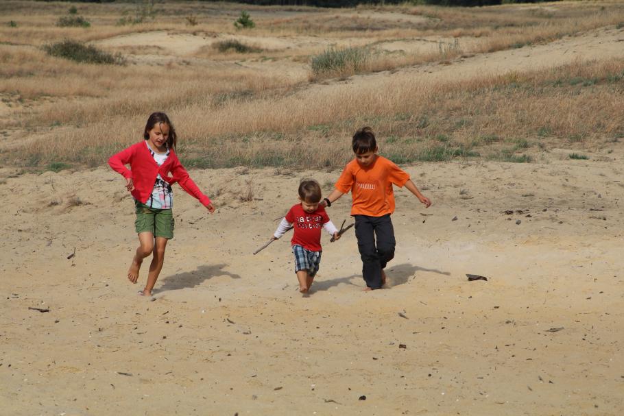 Die Sonne beschert uns ein authentisches Wüstenerlebnis.