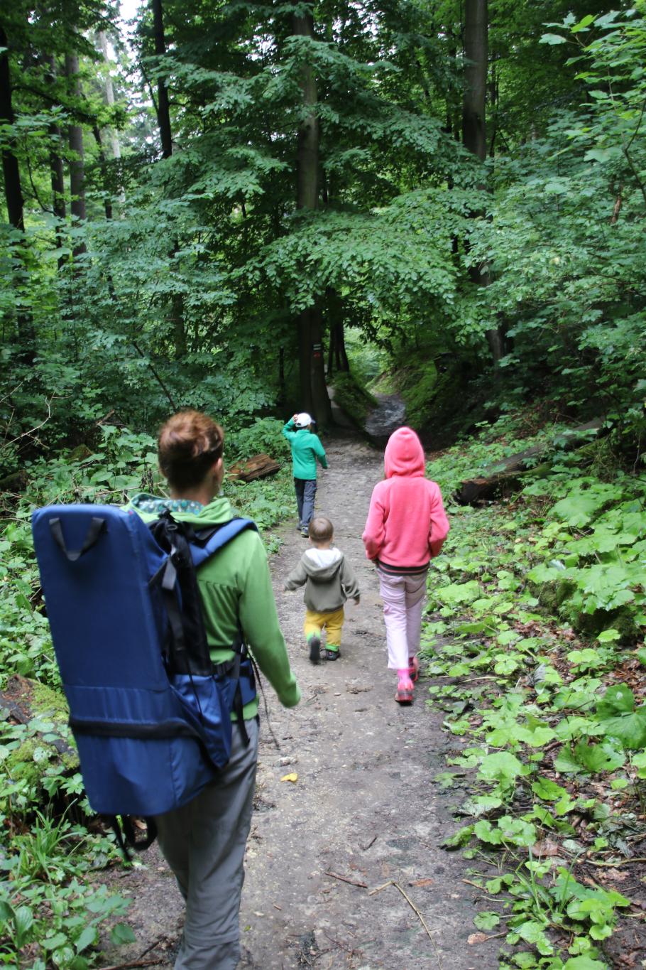 Als wir starten, tropft es noch von den Bäumen.