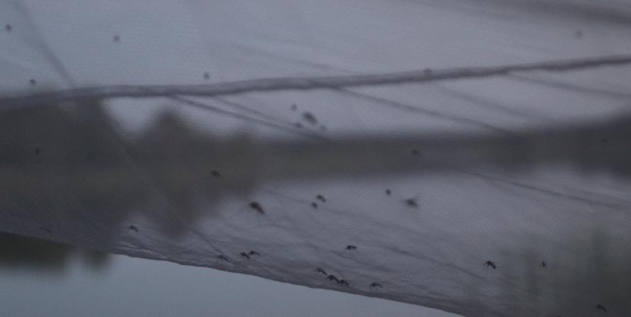 Funktioniert (die Seite mit den Mücken ist außen…)