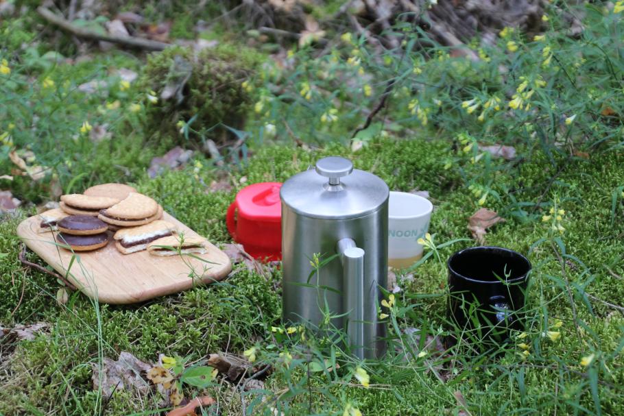 Picknick im Grünen – und ganz ohne Mücken.