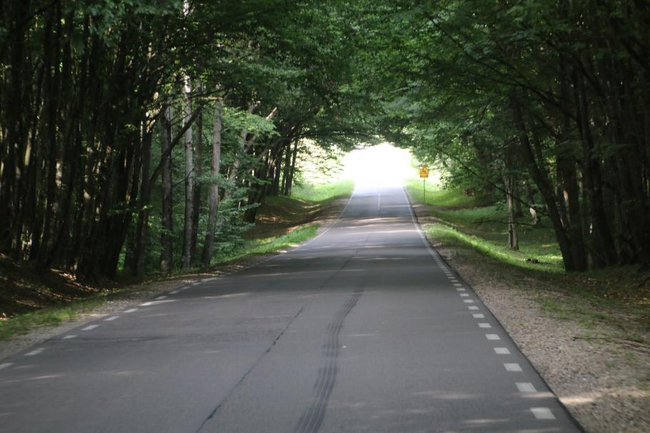 … und wunderschöne Alleen.