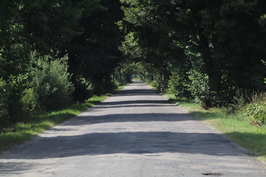 Kurz nach dem Start fahren wir schon durch die erste Allee.