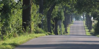 image from Seen und Alleen