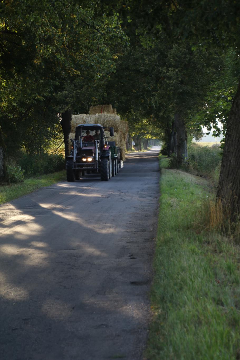 Die Straßen sind oft holprig und eng.