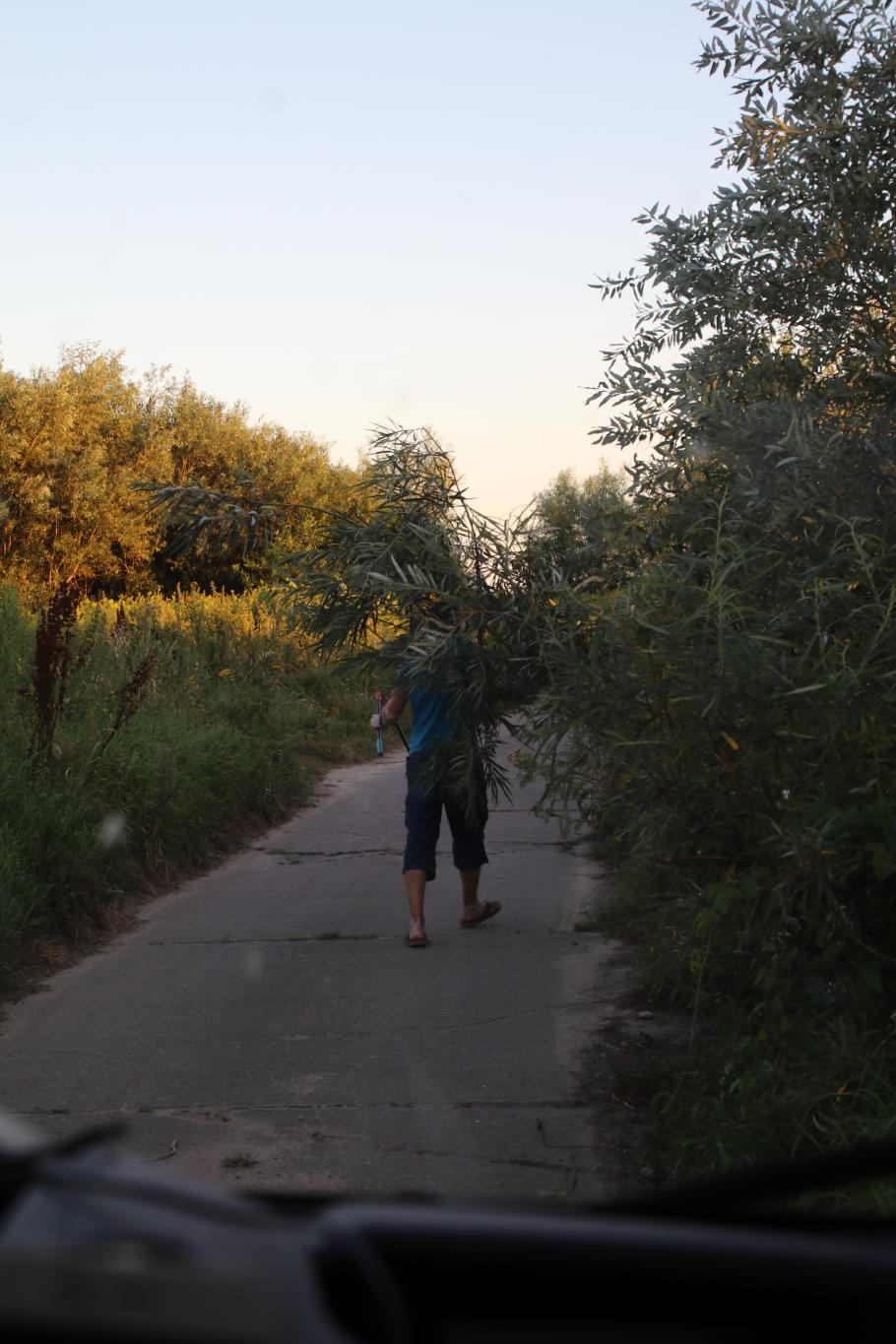 Kurz vor dem Ziel kommt mal wieder die Astschere zum Einsatz.