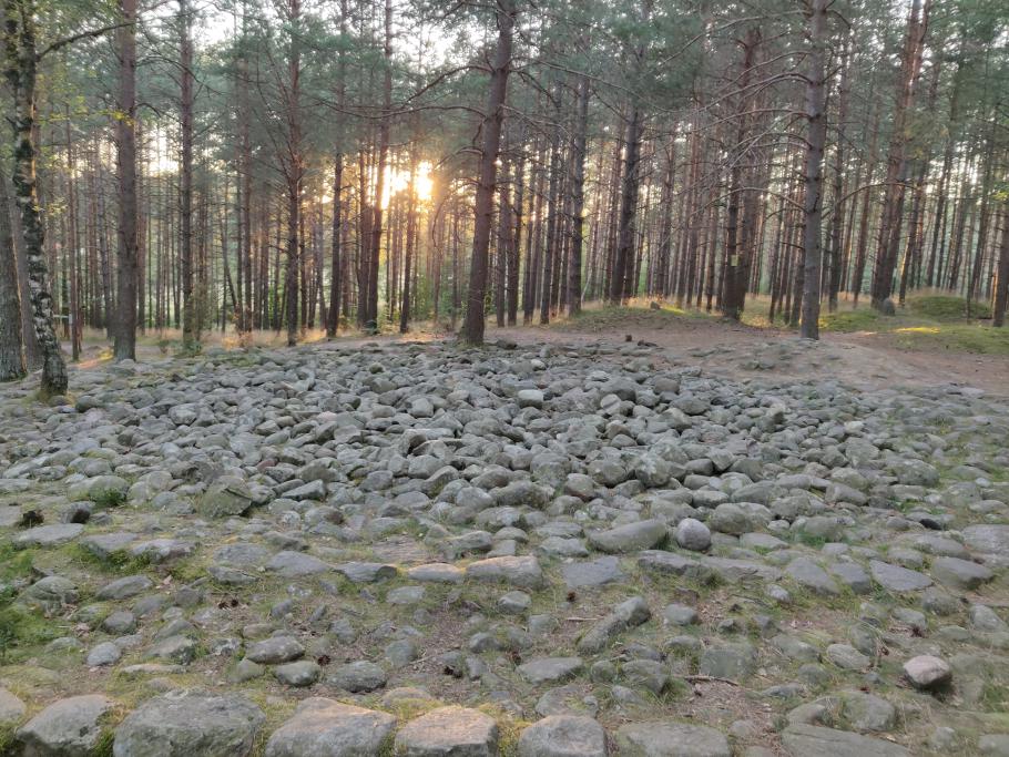 Die Abendsonne sorgt für passende Stimmung.