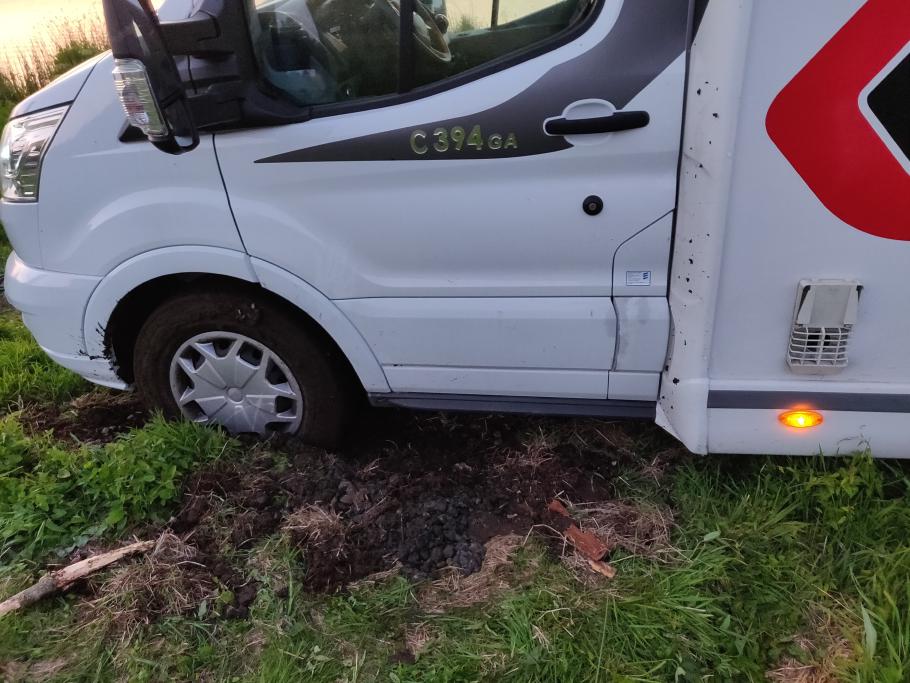 Hier war kein Wildschwein am Werk.