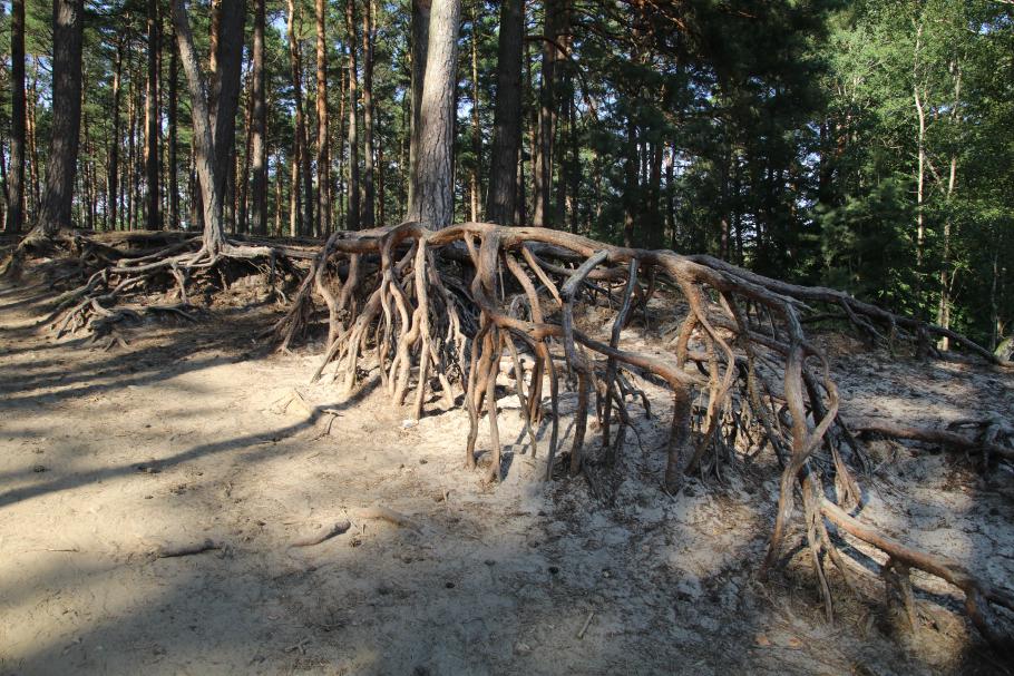 Aber zumindest wird es nicht langweilig.