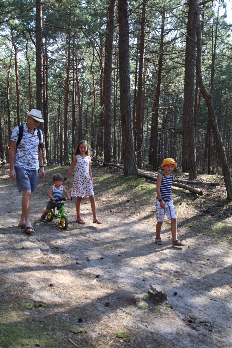 Der Weg ist sehr sandig und hügelig.