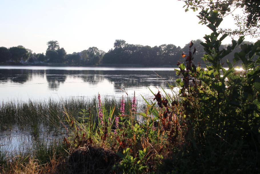 Unser Stellplatz ist an einem hübschen kleinen See gelegen.