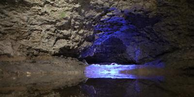 image from Nach Süden