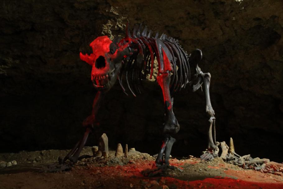 Todesursache? Touristenmangel.