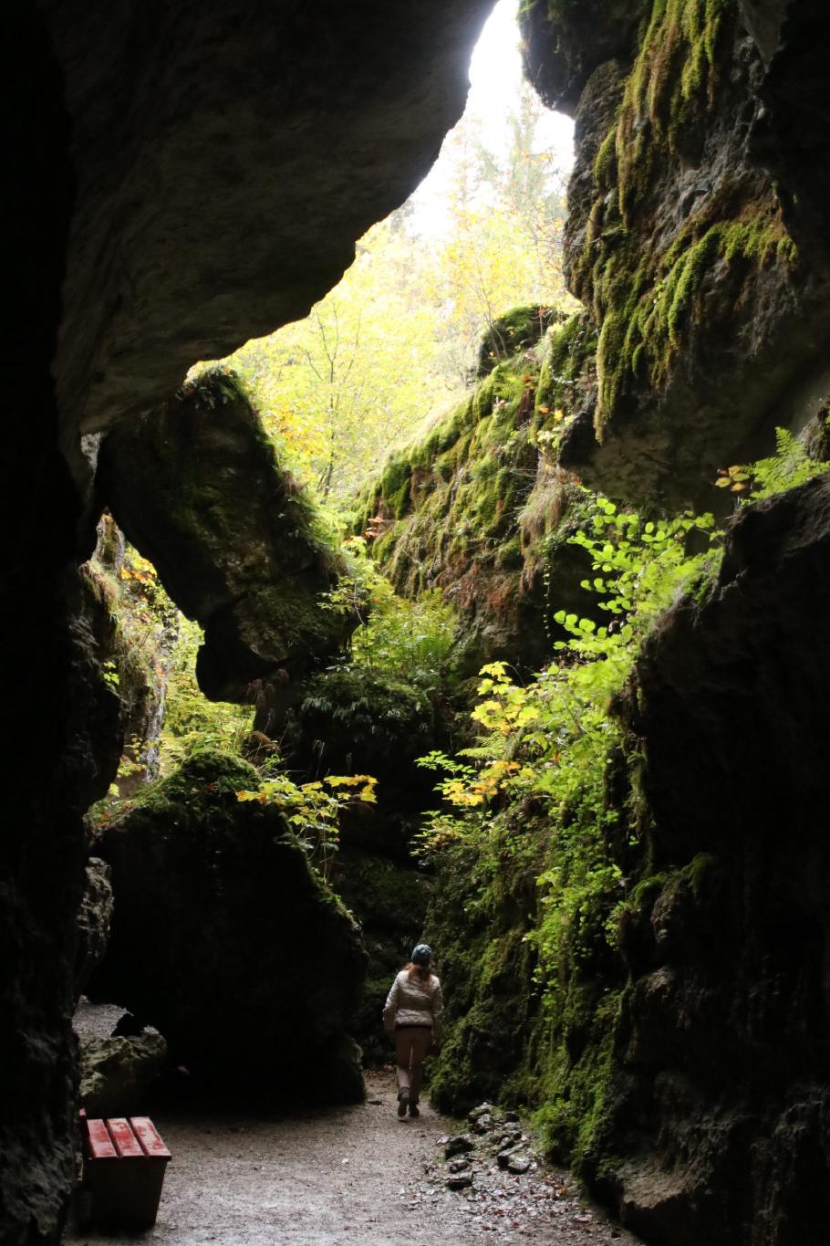 Grüne Klamm am Ausgang.