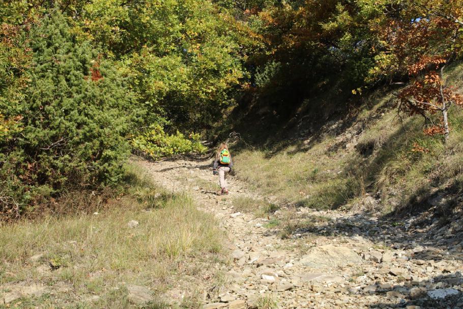 Es geht steil bergauf.