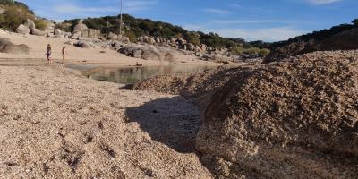 image from Endlich wieder Sommer