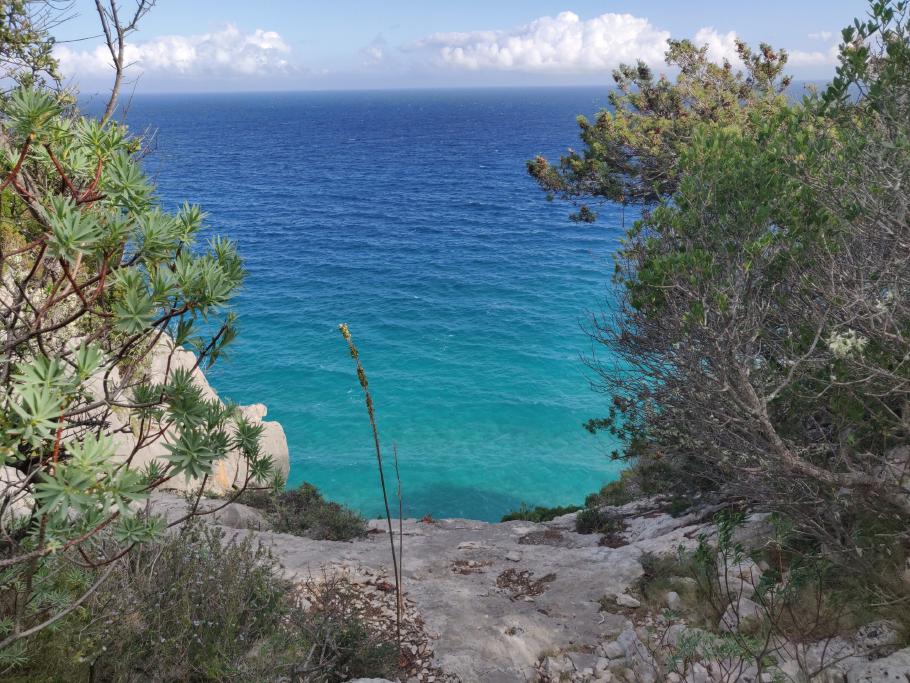 Ende vom Weg. Ab hier geht es nur noch 100 Meter gerade hinunter.