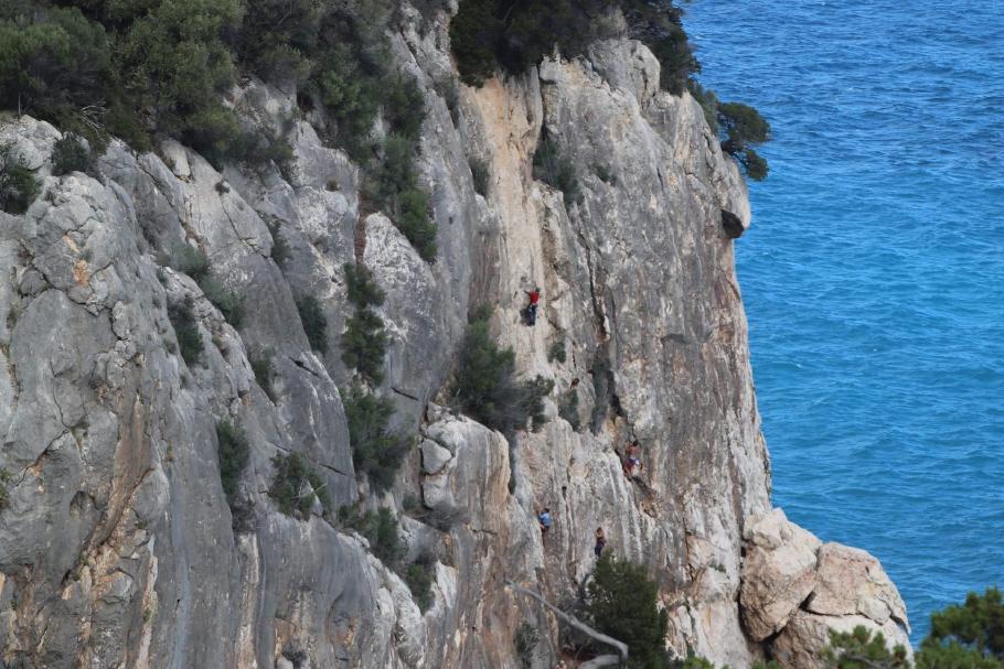 Manche kommen auch ohne die Treppe aus.