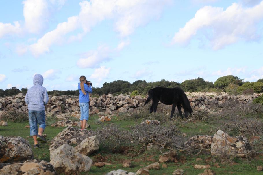 Die Kinder auf Pferdejagd.